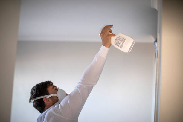 Best Toxic Mold Removal  in Meridian, MS