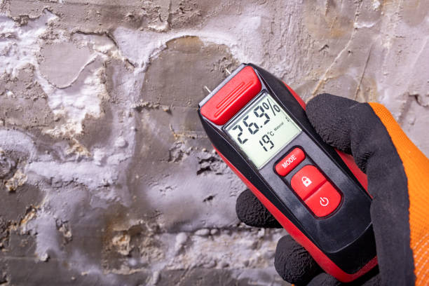 Best Mold Testing  in Meridian, MS