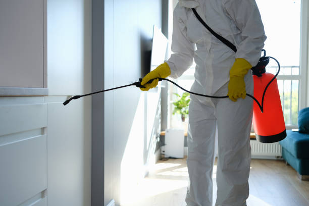 Best Crawl Space Mold Removal  in Meridian, MS