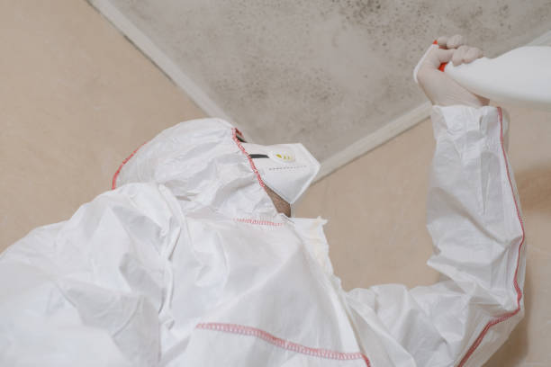 Best Residential Mold Removal  in Meridian, MS